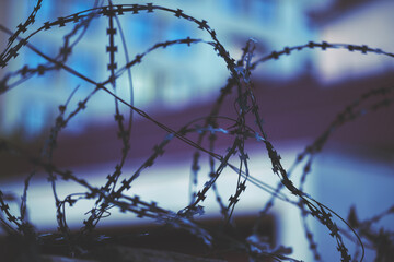 Barbed wire. Barbed wire on a fence as a background