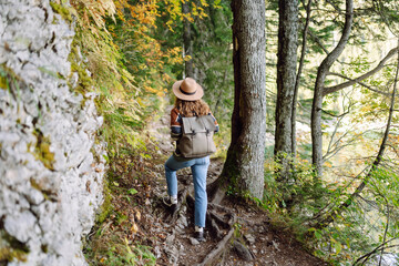 Naklejka premium Young female traveler with backpack standing in forest with tall coniferous trees, enjoying nature. Weekend, tourism. 