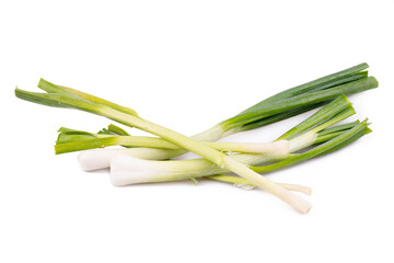 fresh green onion on white