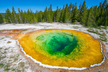 close up on Morning glory pool in Yellowstone National Park