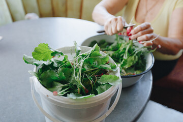 caucasian woman of 70-79 years Separating fresh radishes leftovers for compost