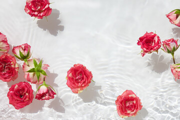 Spa, cosmetic background. Floating Pink Roses on Water Surface