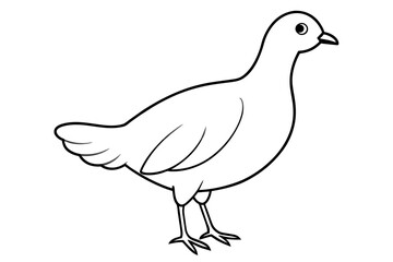 peep bird vector silhouette illustration