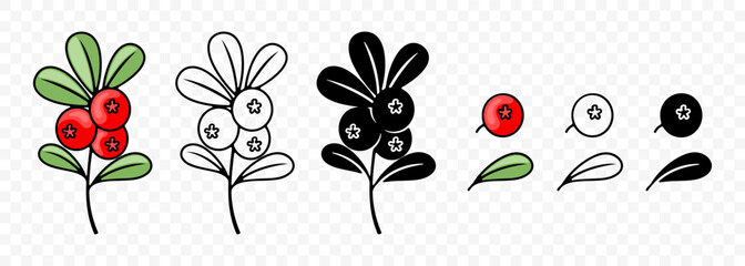 Cowberry, lingonberry, cranberry or foxberry, graphic design. Red bilberry, berries, red whortleberry or red huckleberry, vector design and illustration