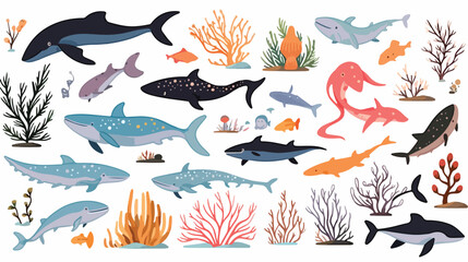 Set of different marine mammals and plants sketch s