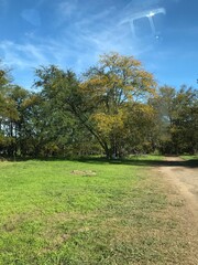 paisaje de un camino rural en Buenos Aires