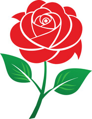 Red roses isolated on white background