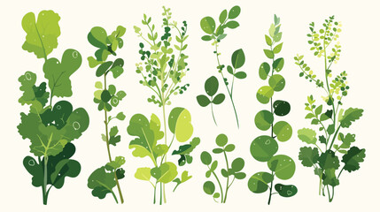 Set of hand drawn different micro-green plants sket