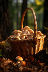 Wicker basket with mushrooms in the forest