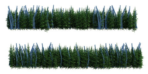 3d render brush tree isolated on white