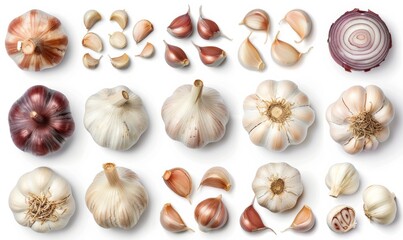 Fototapeta premium garlic isolated on white background
