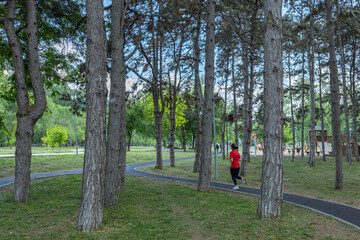 A runner enjoys a peaceful jog on a park trail surrounded by tall pine trees, with a playground and open grassy areas visible in the background.