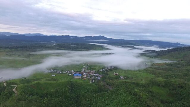 Selva en Colombia ubicada en el occidente lejano propiamente en el Valle del Murr&iacute;