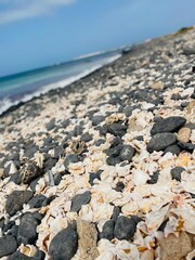 wybrzeże oceanu © Karolina