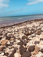 shelves on the sand © Karolina