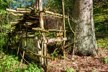 Abandoned children's hut in a wild forest under a tree