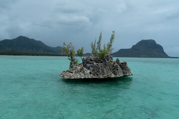 Boat excursion in Mauritius going to Ile aux Benitiers