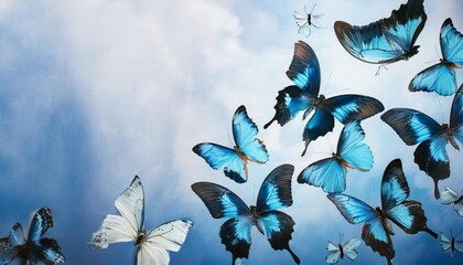 butterflies on blue watercolor