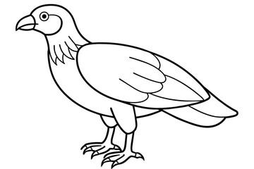 doodle bird vector silhouette illustration