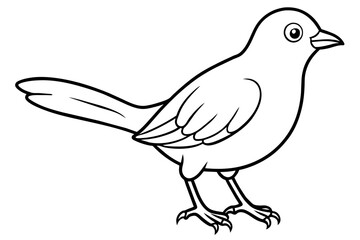 doodle bird vector silhouette illustration