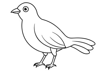 doodle bird vector silhouette illustration