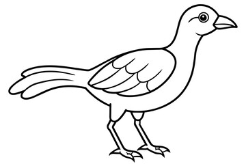 doodle bird vector silhouette illustration