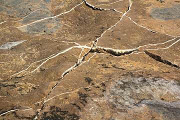 beautiful Mediterranean granite with light colored veining. top view, close. sunlight
