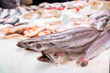 Fische und andere Meeresfrüchte an einem Marktstand auf dem Mercat de la Boqueria, berühmter...