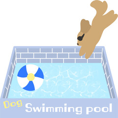 강아지 수영장