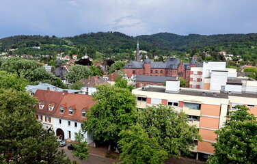 Blick auf Freiburg-Herdern im Frühling