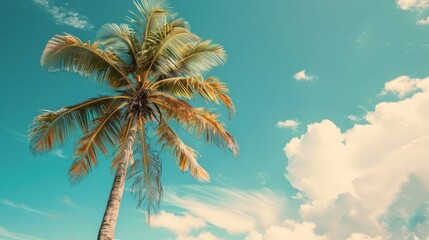 Naklejka premium Abstract background of a palm tree on a tropical beach with a blue sky and white clouds.