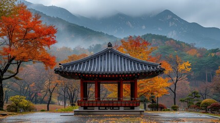 A colorful forest in Hwadan Botanic Garden in Gyeonggi-do, South Korea, on November 7, 2022.