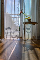 Modern room interior with open window in minimal style. Transparent tulle with morning sun rays on...