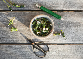 Top view of florist workplace with fresh harvested closed buds of dandelions without yellow petals flowers and tools to create summer decoration in heart shape. Simple DIY concept.	