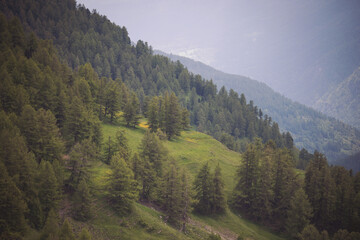 Fototapeta premium Mountain valley landscape in italian alps, Italy, Europe . landscape during summer season.