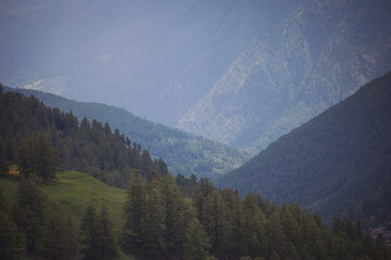 Obraz premium Mountain valley landscape in italian alps, Italy, Europe . landscape during summer season.