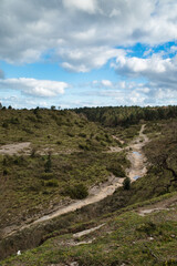 Image of dry creek, dirt and rocks within the creek bed and lined with mature green trees and rocks. In the Basque Country, Spain



