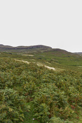 Obraz premium Boreraig, Isle of Skye Highland clearance village