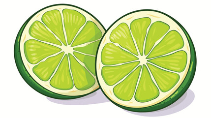 Top view round slice half of ripe green lime sketch