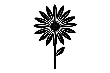 osteospermum  vector silhouette illustration