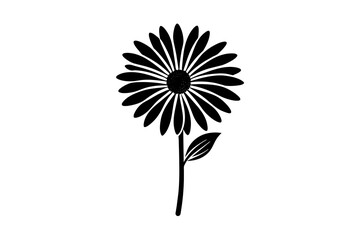 osteospermum  vector silhouette illustration