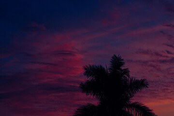 cielo
