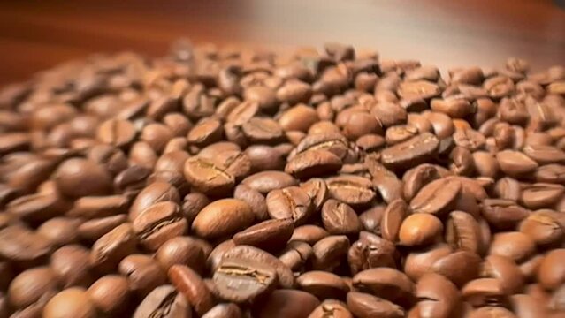 "Discover the rich texture and aroma of every bean&mdash;where cinema meets the essence of coffee."