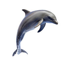 Obraz premium A dolphin is leaping out of the water