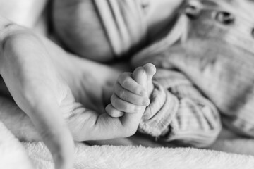 An infant baby has his or her tiny hands and fingers wrapped around a parent's finger. 