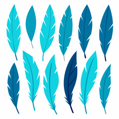 A Set of 27pcs A set of drawn vector bird feathers on white background     
