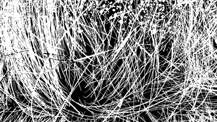 4-59. Grass Texture Effect - Illustration. Old Grass Leaf Black and White Vector Texture.
