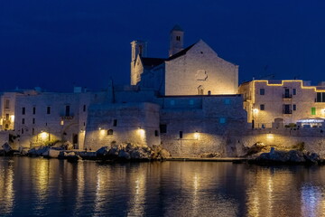 Veduta notturna della cattedrale di Giovinazzo(Bari Puglia)