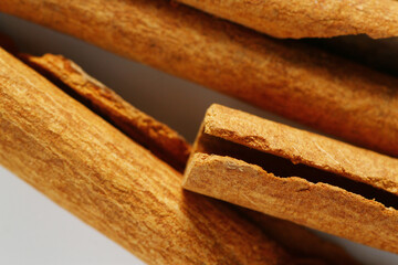 Cinnamon is a spice made from certain types of trees