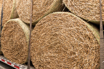 Stacked hay bales on a flatbed trailer captured in detailed texture, representing agricultural...